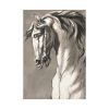 92411-171.jpg Study of a Horse's Head by John Michael Rysbrack Posters