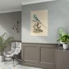 92411-2.jpg Coracias abyssinicus (Abyssinian Roller) Poster