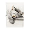 92411-42.jpg Sketch of a Sleeping Cat Poster