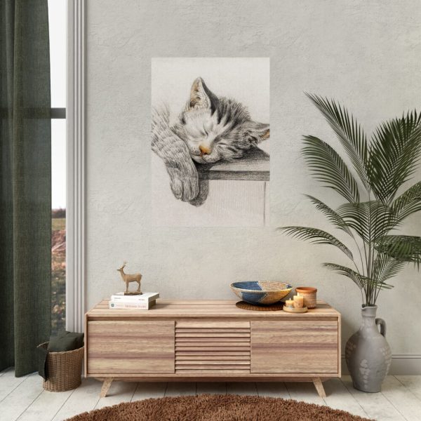 92411-43.jpg Sketch of a Sleeping Cat Poster