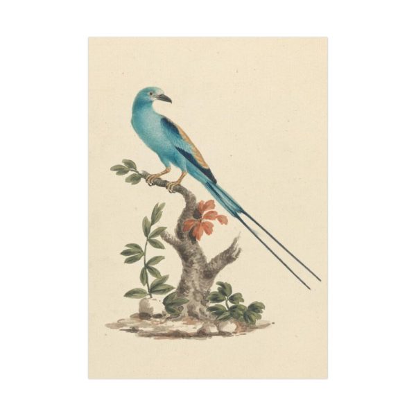 92411.jpg Coracias abyssinicus (Abyssinian Roller) Poster
