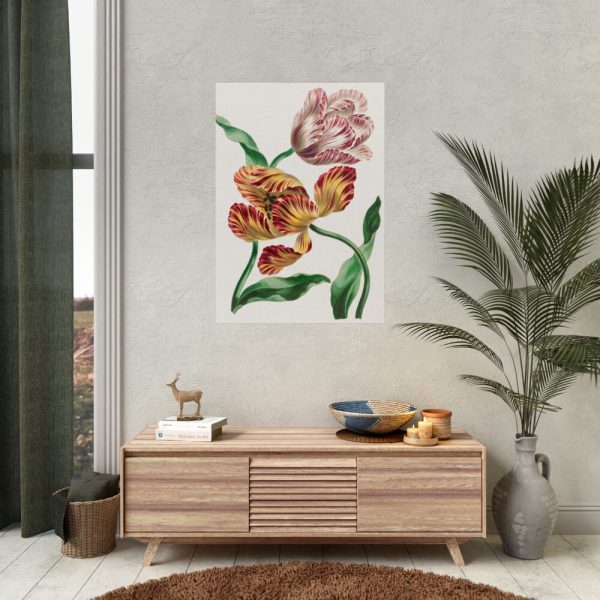 92411-73.jpg Various Tulips by John Edwards Poster