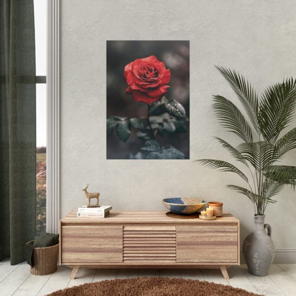 92411-88.jpg Close-up of a Red Rose With Its Petals Poster
