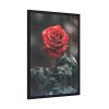 93830-117.jpg Close-up of a Red Rose With Its Petals Framed Poster