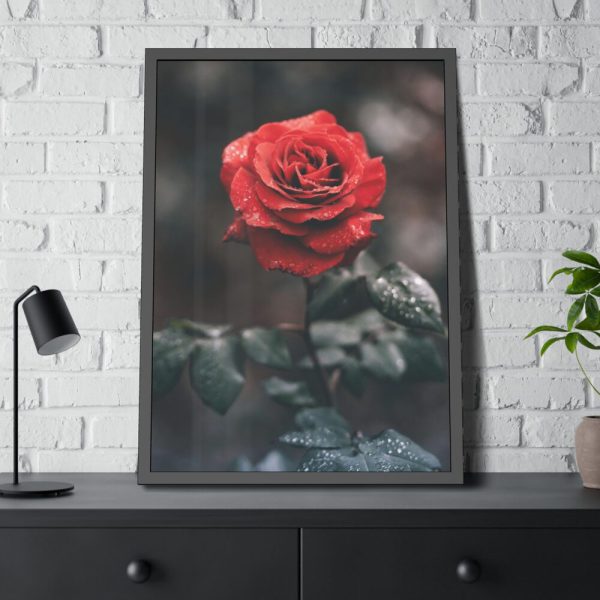 93830-119.jpg Close-up of a Red Rose With Its Petals Framed Poster