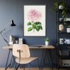 Hand Drawn Bengal Rose Framed Poster