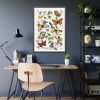 Butterfly & Moth Painting by Paul Gervais Framed Poster