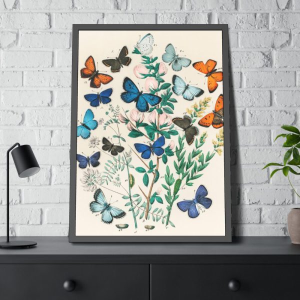 93830-199.jpg European Butterflies and Moths by William Forsell Kirby Framed Poster