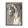 Study of a Horse's Head by John Michael Rysbrack Framed Poster