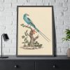 93830-3.jpg Coracias abyssinicus (Abyssinian Roller) Framed Poster