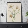 Sego Lily by Mary Vaux Walcott Framed Poster