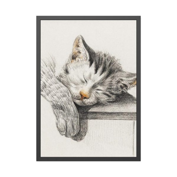 Sketch of a Sleeping Cat Framed Poster