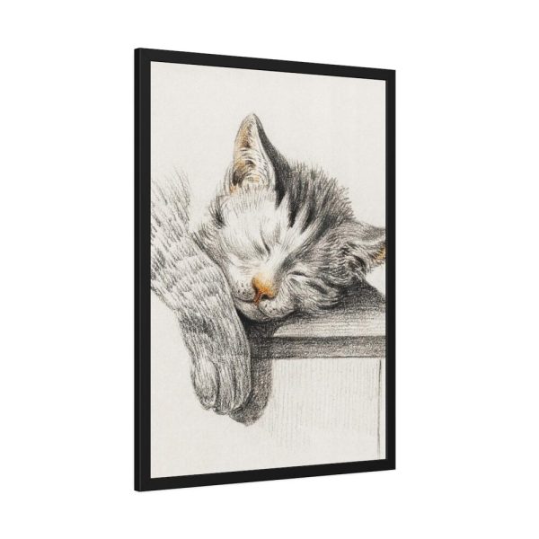 Sketch of a Sleeping Cat Framed Poster