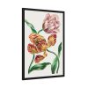 93830-97.jpg Various Tulips by John Edwards Framed Poster