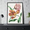 93830-99.jpg Various Tulips by John Edwards Framed Poster