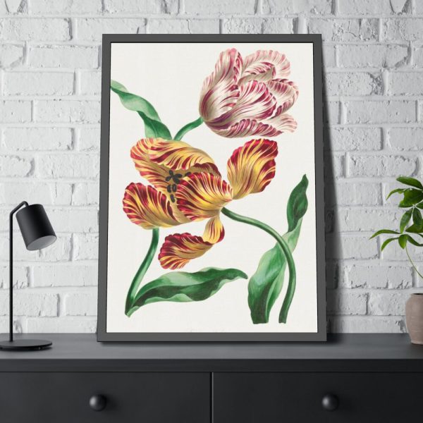 93830-99.jpg Various Tulips by John Edwards Framed Poster
