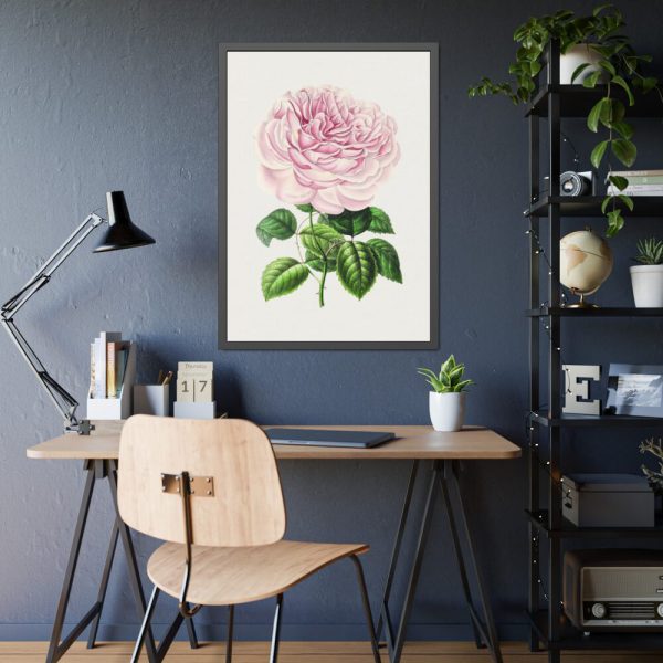 Hand Drawn Bengal Rose Framed Poster