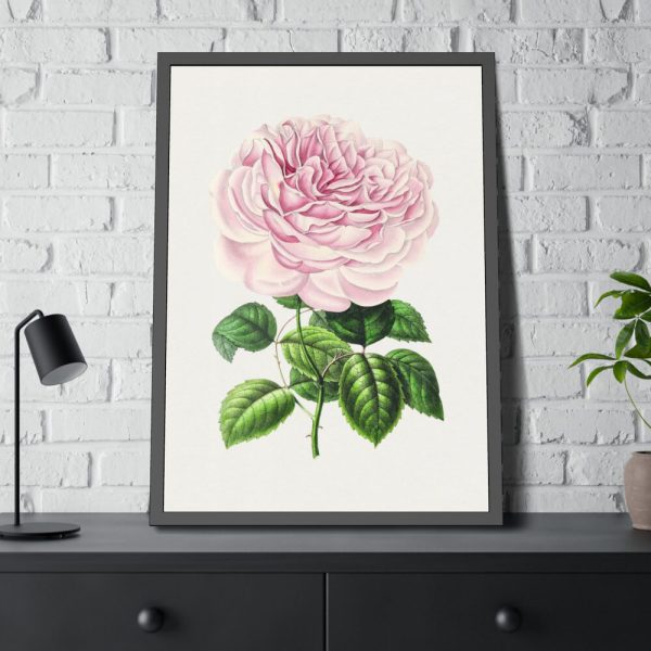 Hand Drawn Bengal Rose Framed Poster