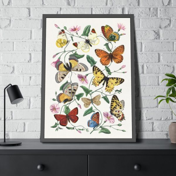Butterfly & Moth Painting by Paul Gervais Framed Poster