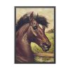 93831-204.jpg Vintage Horse Illustration Framed Poster