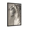 Study of a Horse's Head by John Michael Rysbrack Framed Poster
