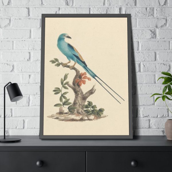 93831-3.jpg Coracias abyssinicus (Abyssinian Roller) Framed Poster