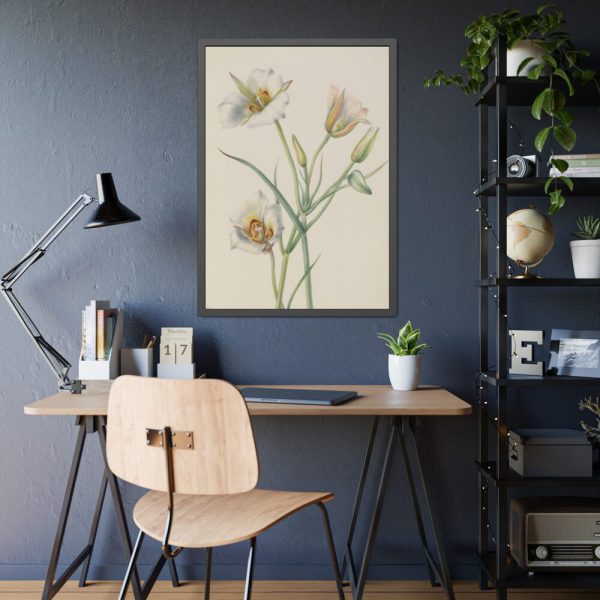 Sego Lily by Mary Vaux Walcott Framed Poster