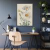Matilija Poppy by Mary Vaux Walcott Fremed Poster