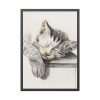 Sketch of a Sleeping Cat Framed Poster