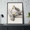 Sketch of a Sleeping Cat Framed Poster