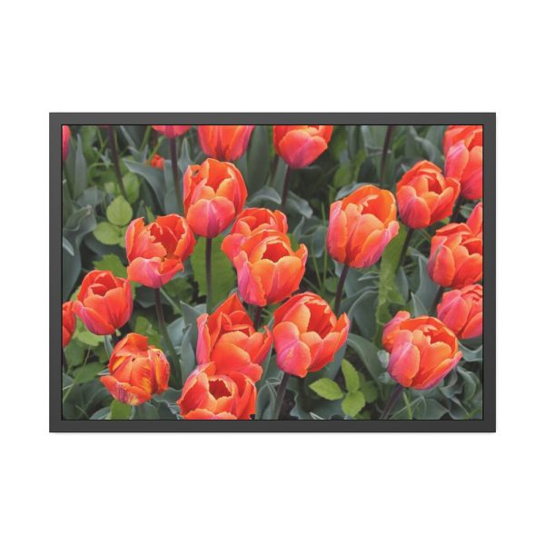 93854-168.jpg Garden Plant Framed Poster