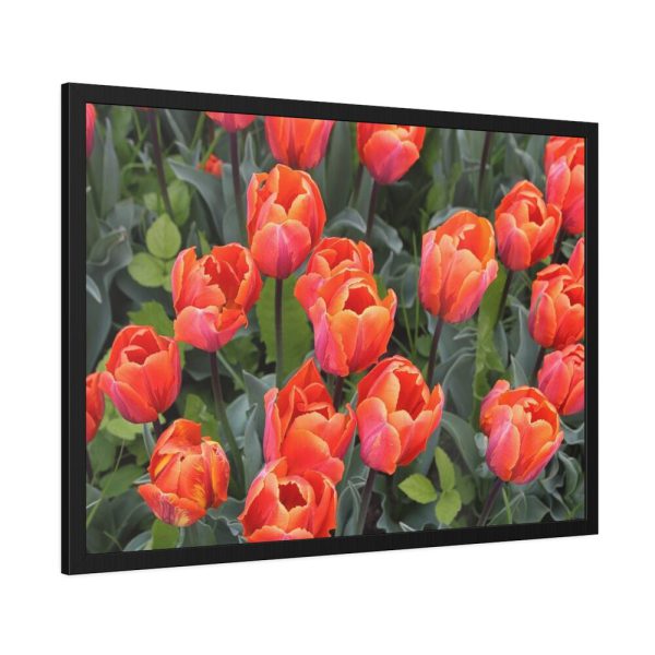 93854-169.jpg Garden Plant Framed Poster