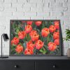 93854-171.jpg Garden Plant Framed Poster