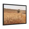 Tractor Harvest Grains of Wheat in a Farm Field Framed Poster