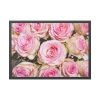93854-256.jpg Rose Pink Roses Framed Poster