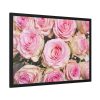 93854-257.jpg Rose Pink Roses Framed Poster