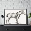 93854-315.jpg Standing horse by Jean Bernard Framed Poster