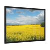 93854-321.jpg Oilseed Rape Field Yellow Framed Poster