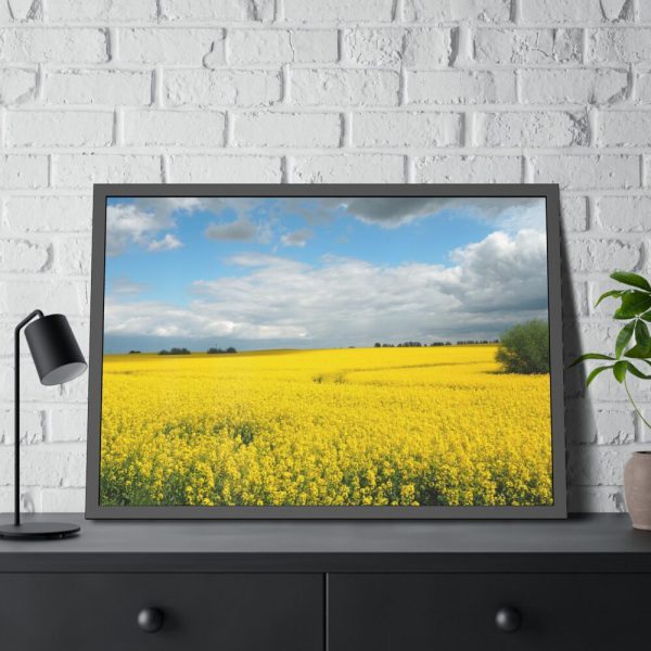 93854-323.jpg Oilseed Rape Field Yellow Framed Poster