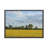 93854-324.jpg Oilseed Rape Field Rapeseeds Framed Posters