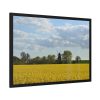93854-325.jpg Oilseed Rape Field Rapeseeds Framed Posters