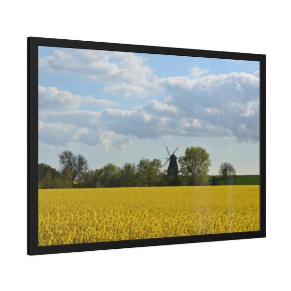 93854-325.jpg Oilseed Rape Field Rapeseeds Framed Posters