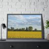 93854-327.jpg Oilseed Rape Field Rapeseeds Framed Posters