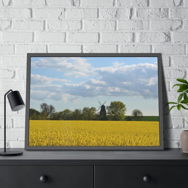 93854-327.jpg Oilseed Rape Field Rapeseeds Framed Posters