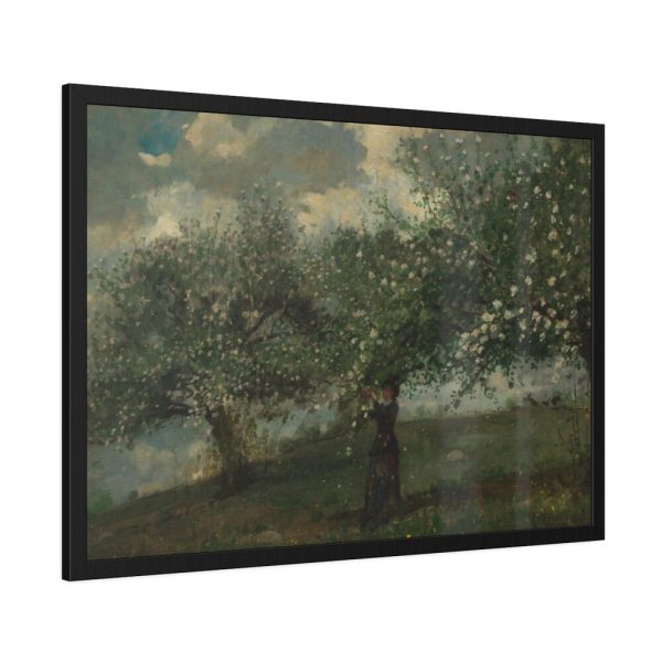 Girl Picking Apple Blossoms by Winslow Homer Framed Poster