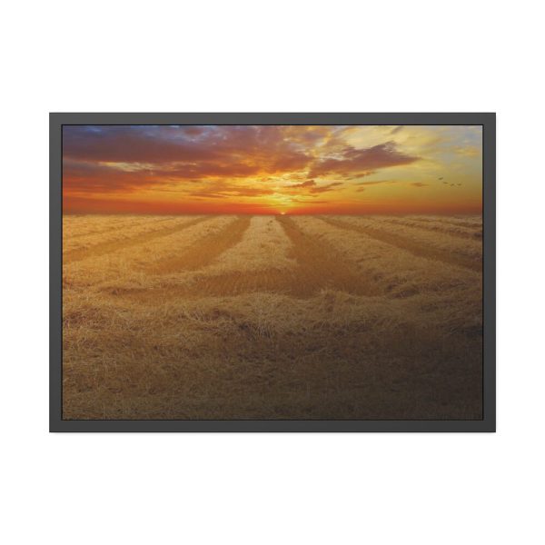 93854-48.jpg Wheat field Framed Poster