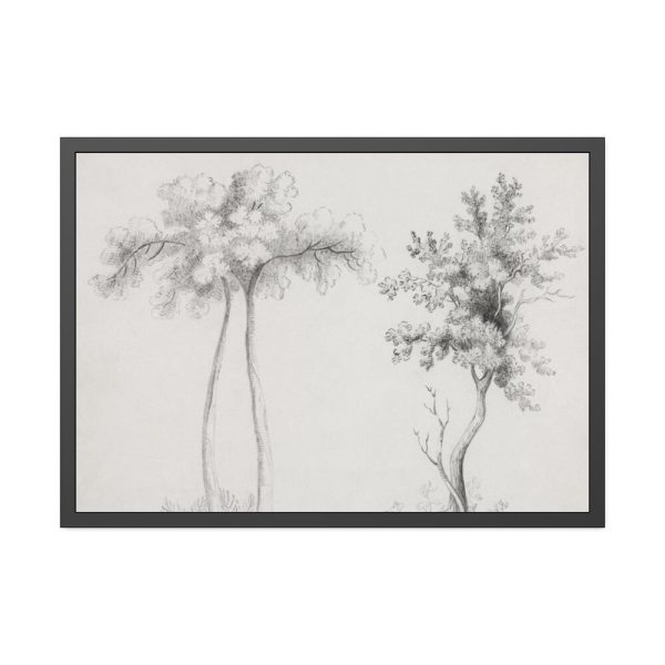 93854-88.jpg Studies of Upas and Maple Trees Framed Poster