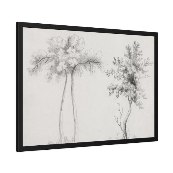 93854-89.jpg Studies of Upas and Maple Trees Framed Poster