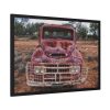 Austin Truck In Australian Nature Framed Poster