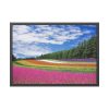 93855-160.jpg Free Tulip Garden Framed Poster